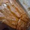 runtz hash