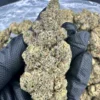 Bubba Kush Strain