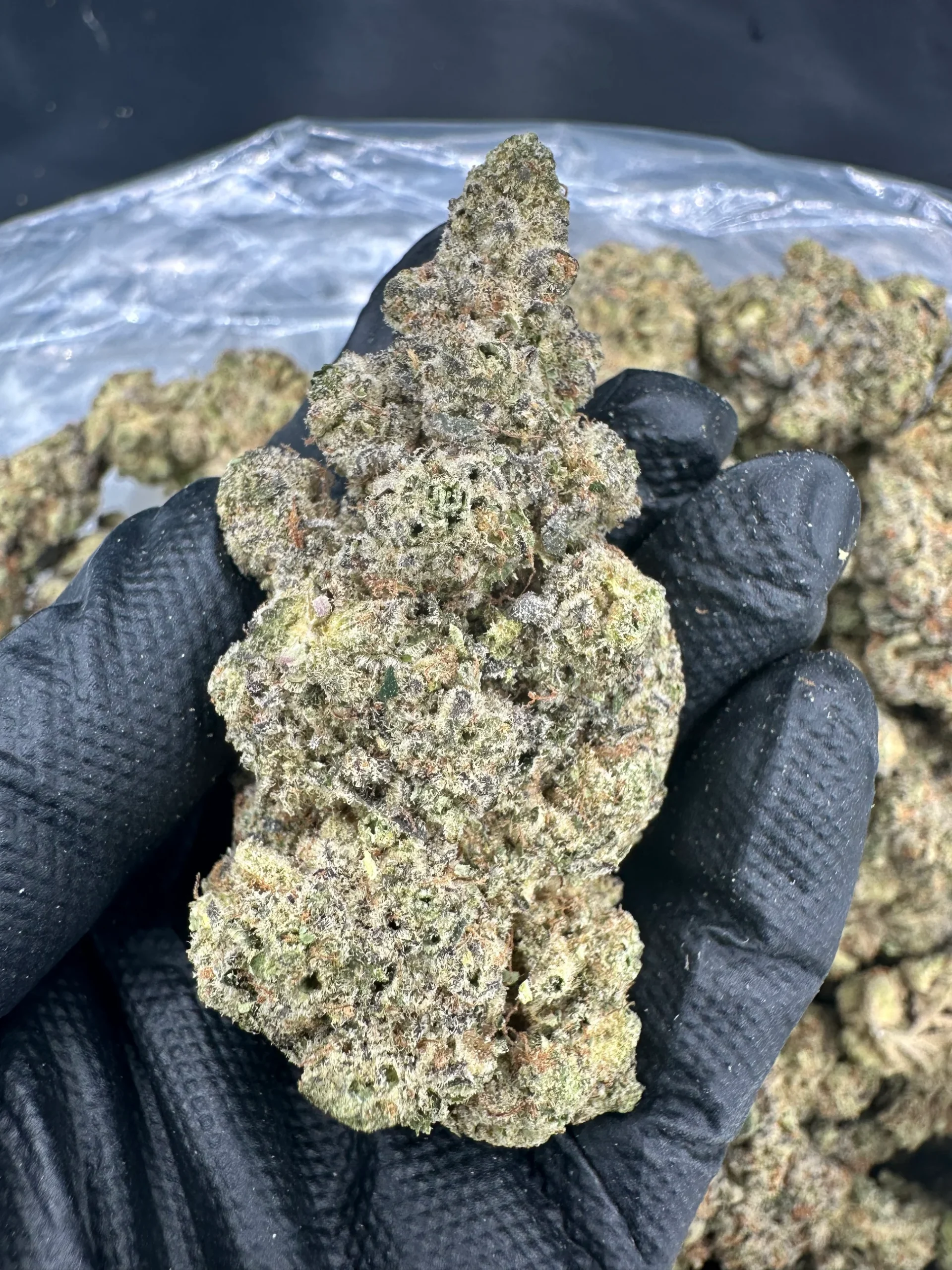 Bubba Kush Strain Bubba Kush Strain