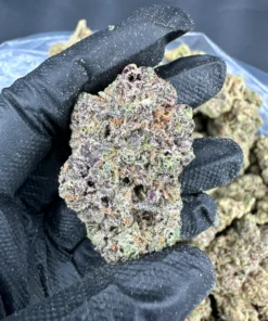 GMO Cookies