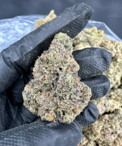 Green Crack Strain