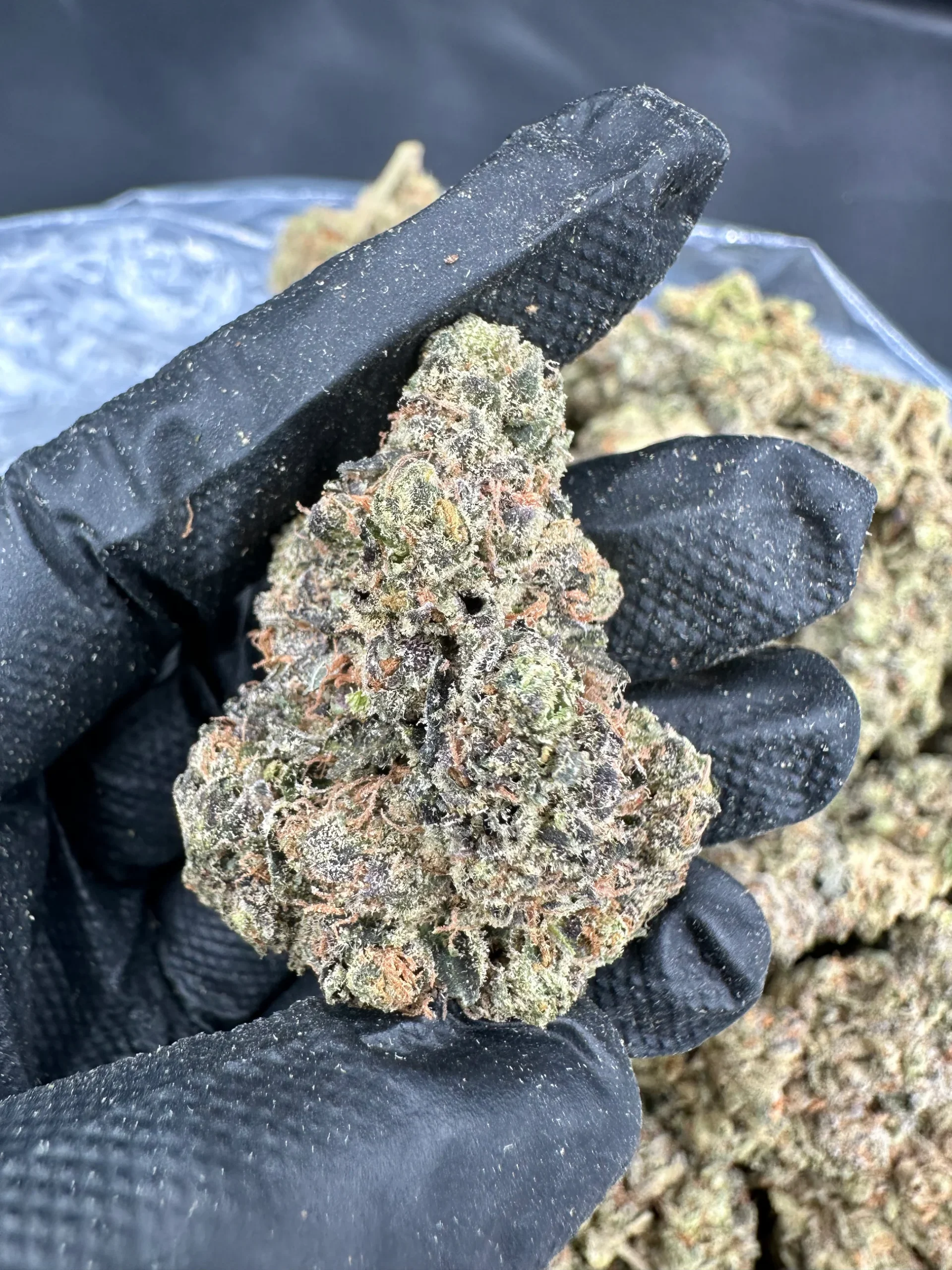 Green Crack Strain Green Crack Strain