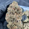 Ice Cream Cake Strain