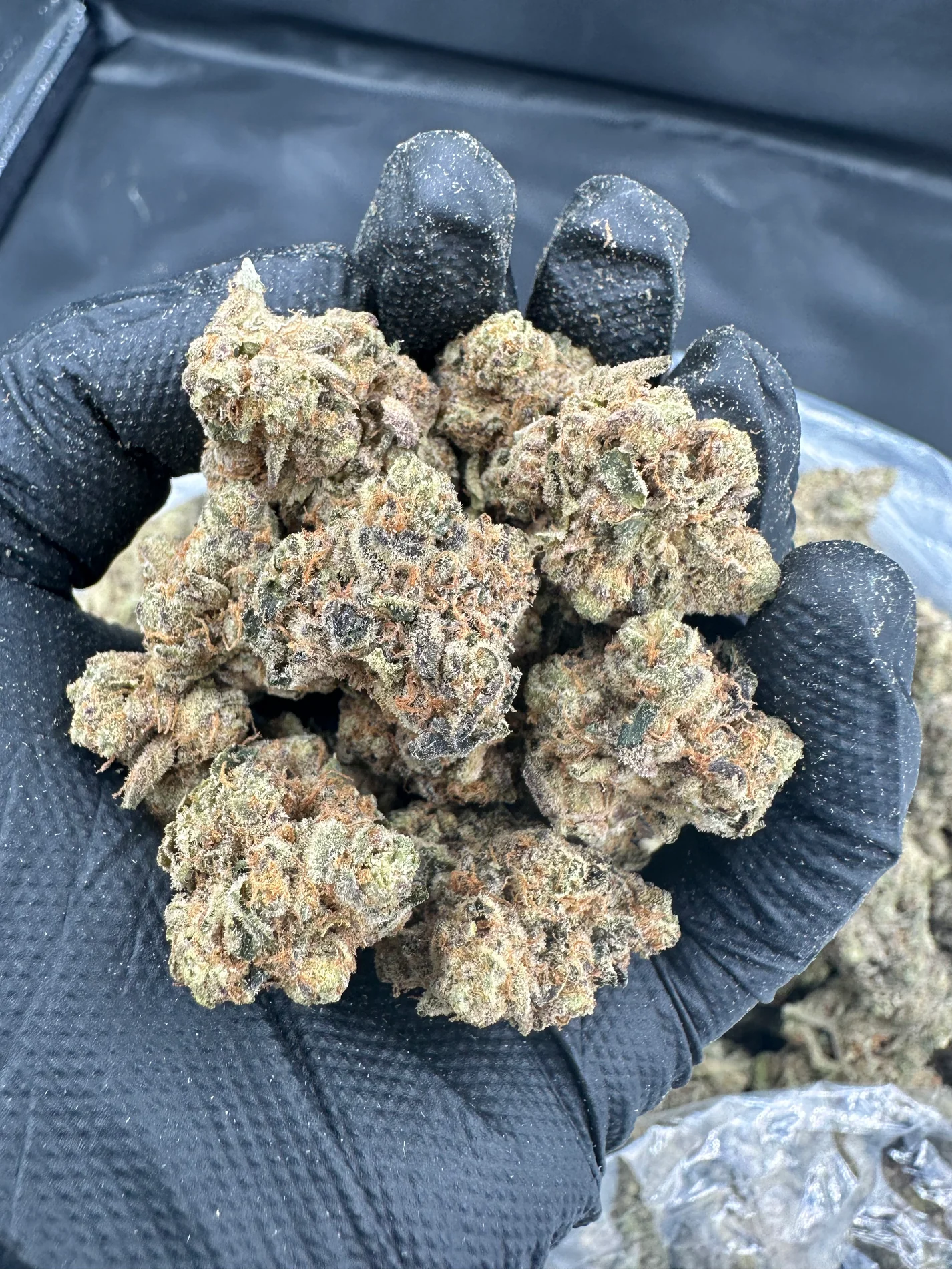 Zkittlez