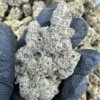 animal cookies strain