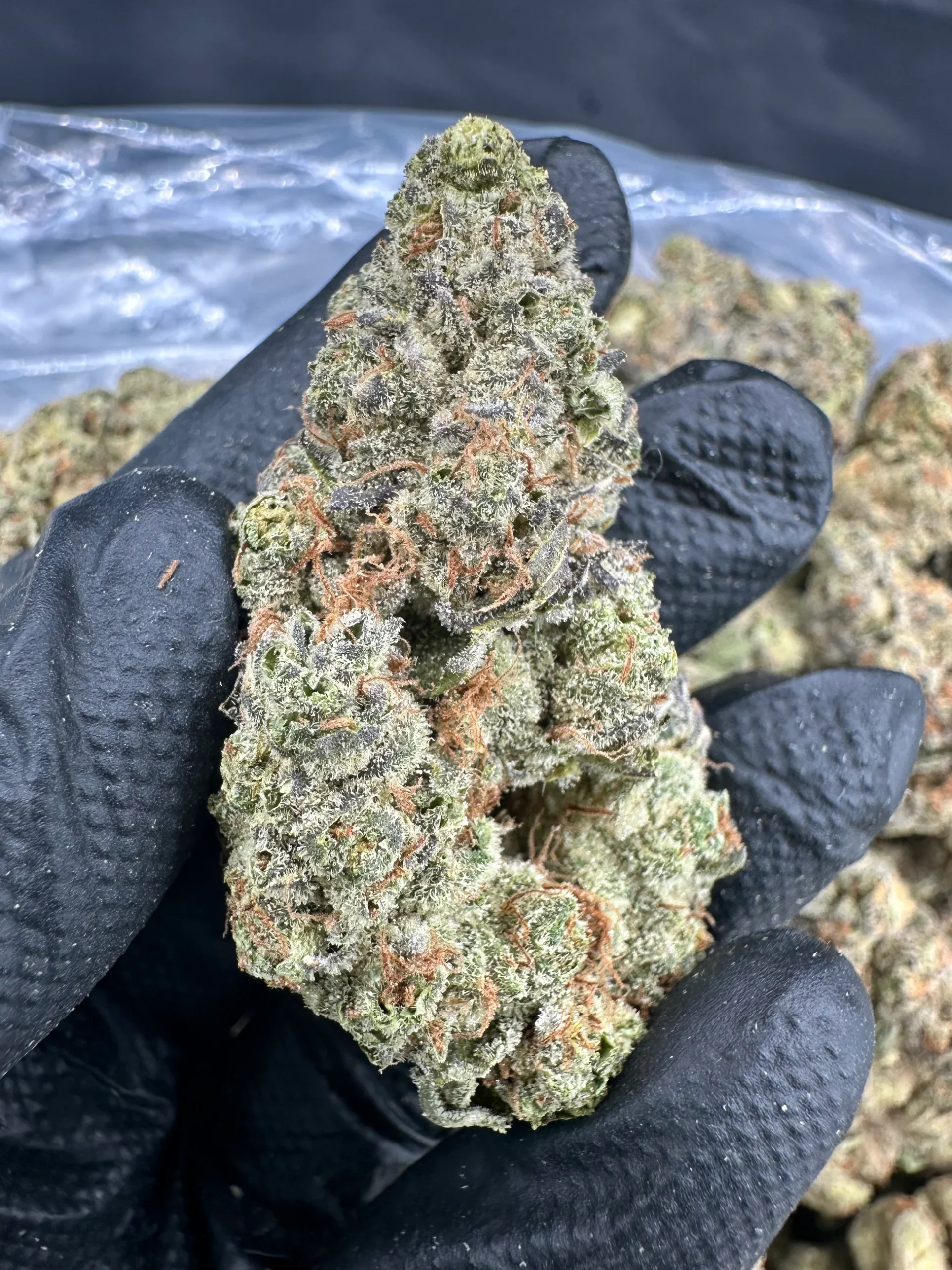 gorilla glue #4 gorilla glue #4
