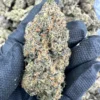 lemon cherry gelato cali